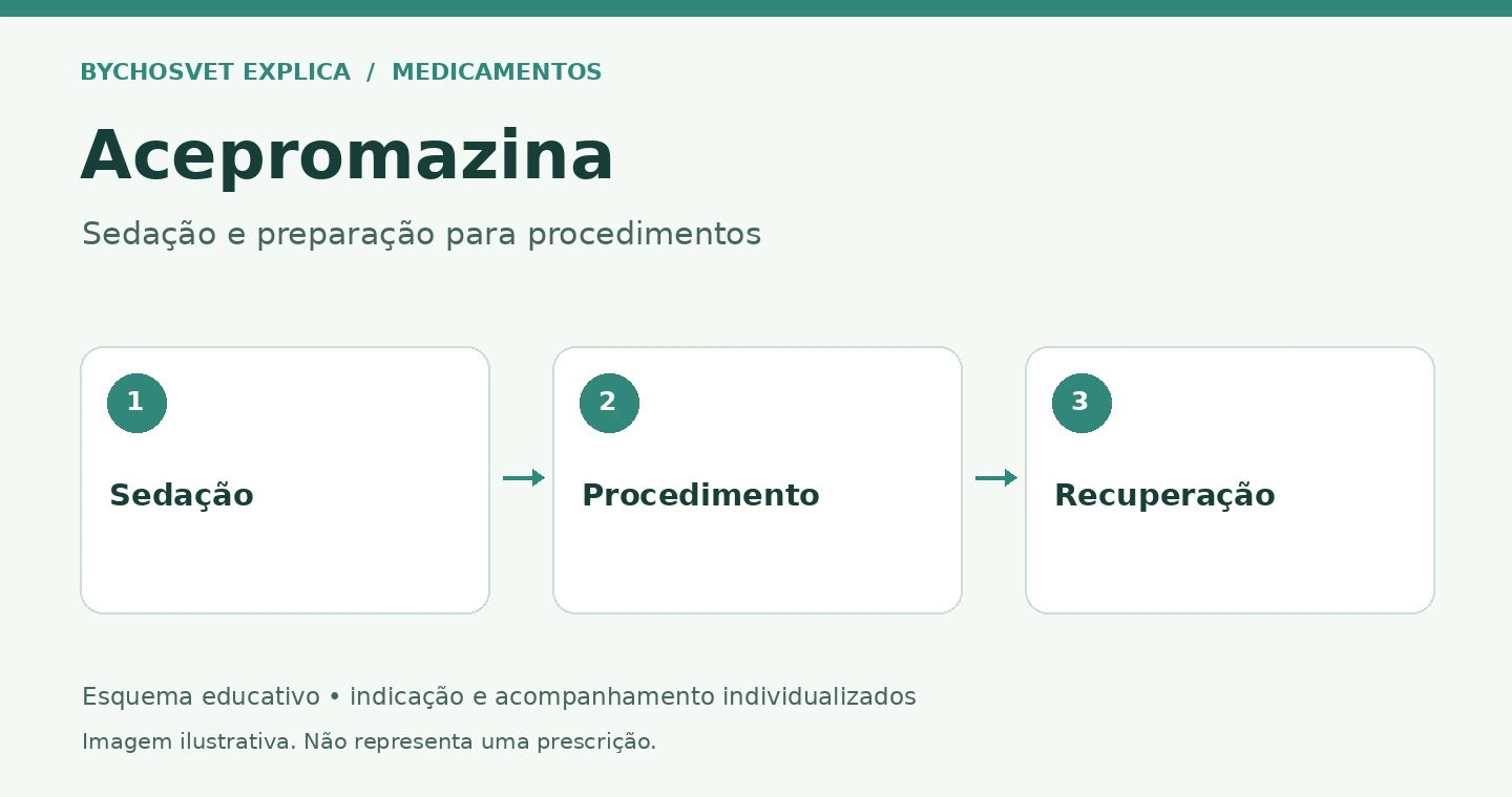 Acepromazina: Sedação, Procedimento, Recuperação