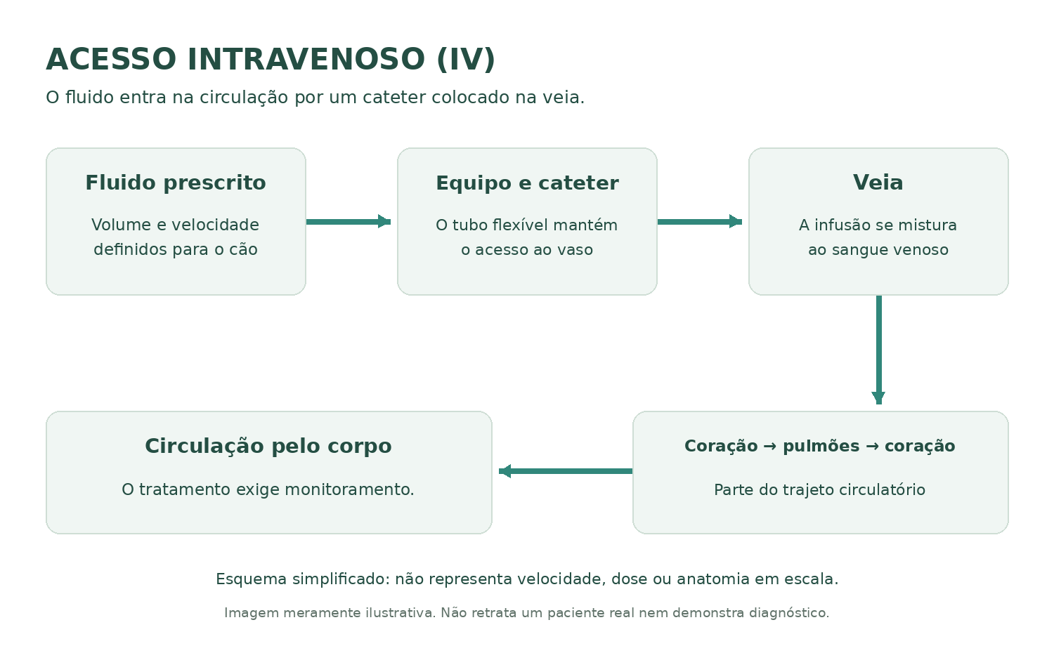 Esquema: fluido prescrito passa pelo equipo e cateter, entra na veia e segue pela circulação