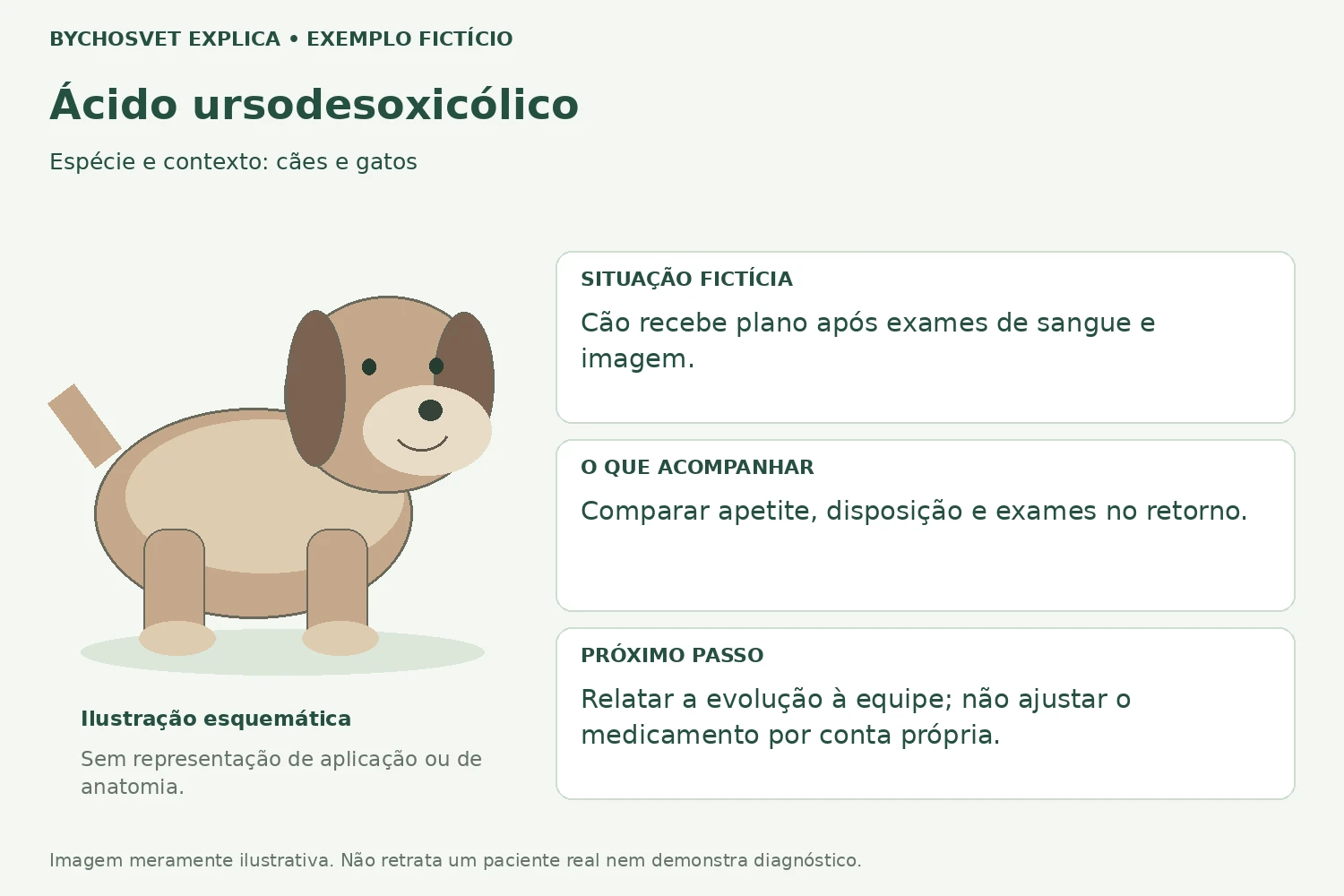 Exemplo fictício de acompanhamento com Ácido ursodesoxicólico