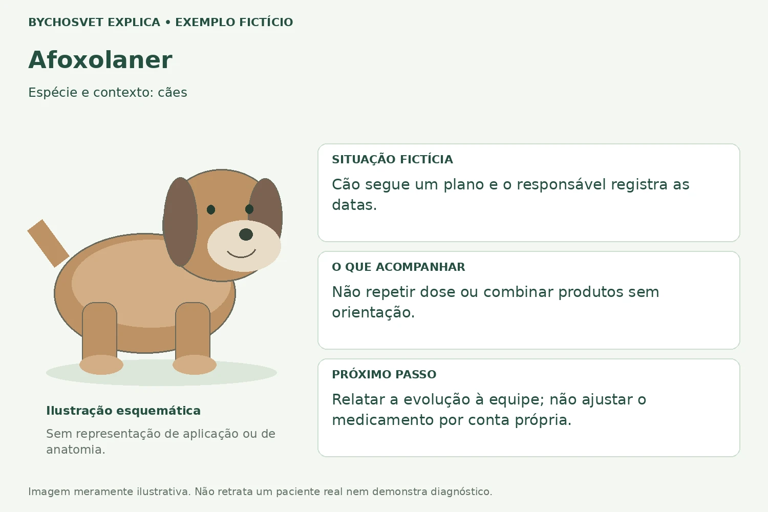 Exemplo fictício de acompanhamento com Afoxolaner