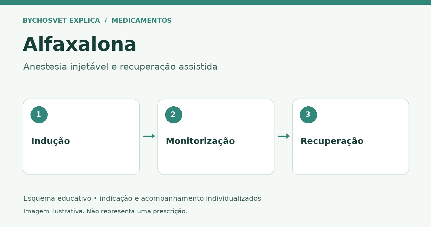 Alfaxalona: Indução, Monitorização, Recuperação
