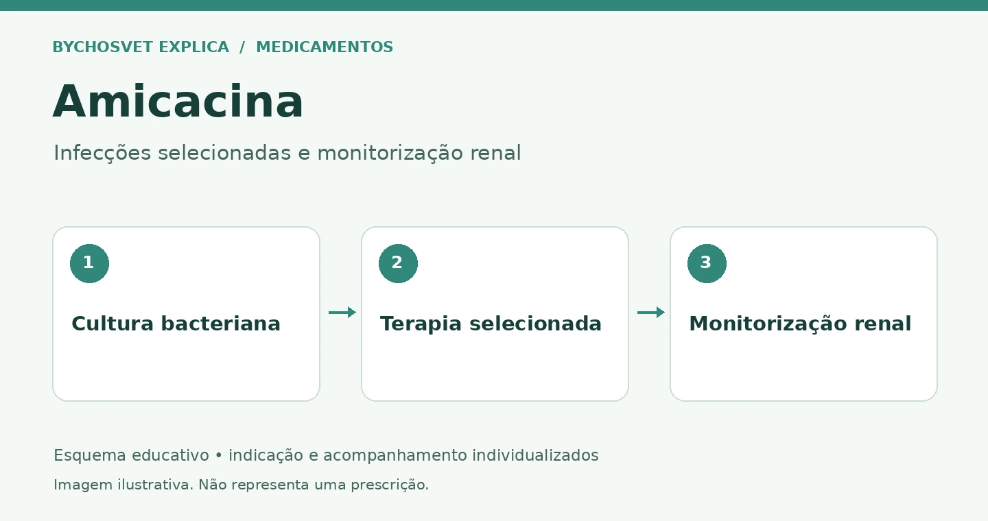 Amicacina: Cultura bacteriana, Terapia selecionada, Monitorização renal
