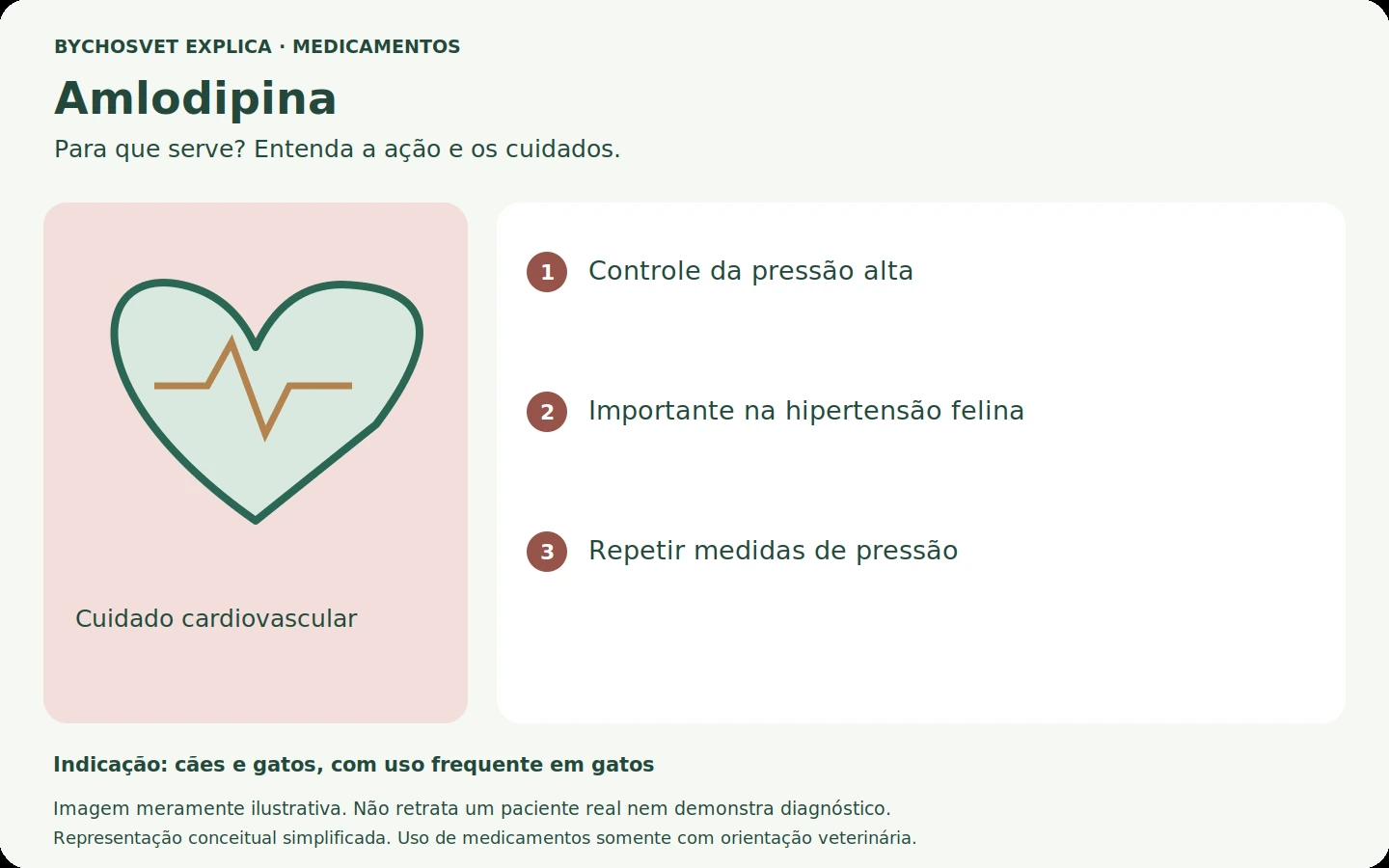 Amlodipina: esquema em português sobre ação, indicações e cuidados.