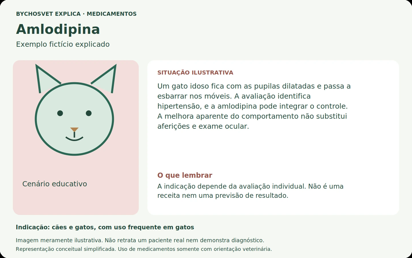 Exemplo fictício em português relacionado ao uso de amlodipina.