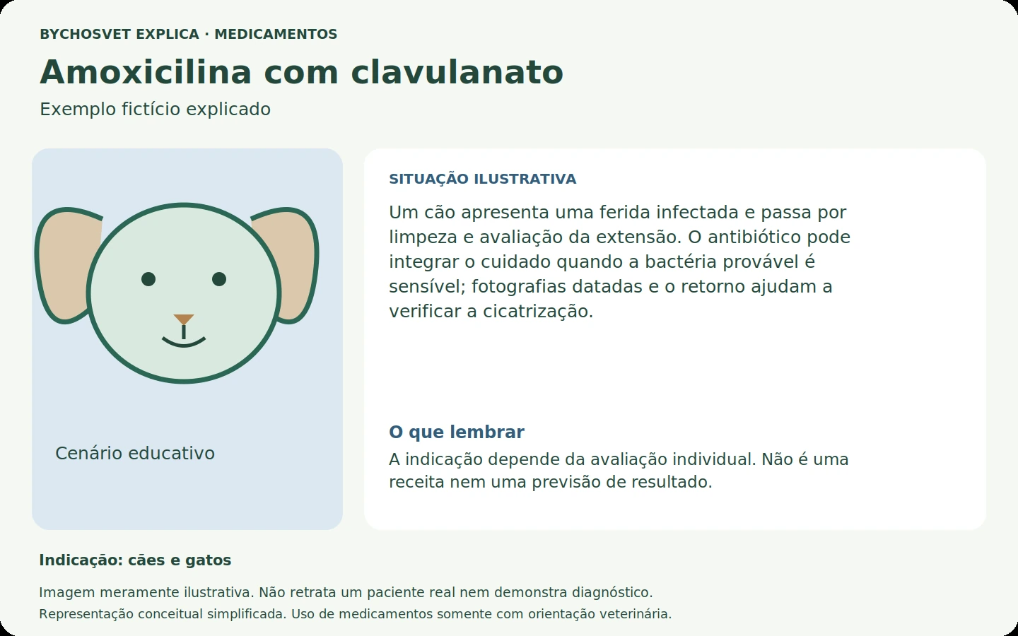 Exemplo fictício em português relacionado ao uso de amoxicilina com clavulanato.