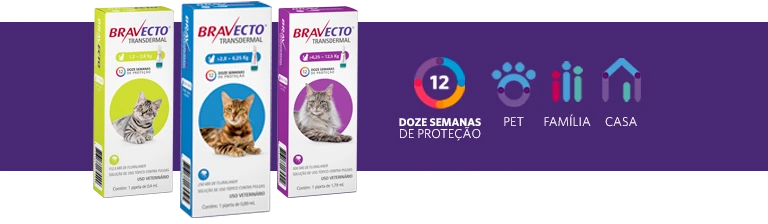 Embalagem de Bravecto Transdermal Gatos