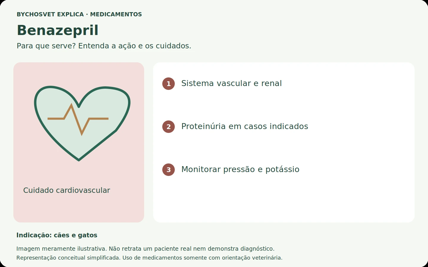 Benazepril: esquema em português sobre ação, indicações e cuidados.