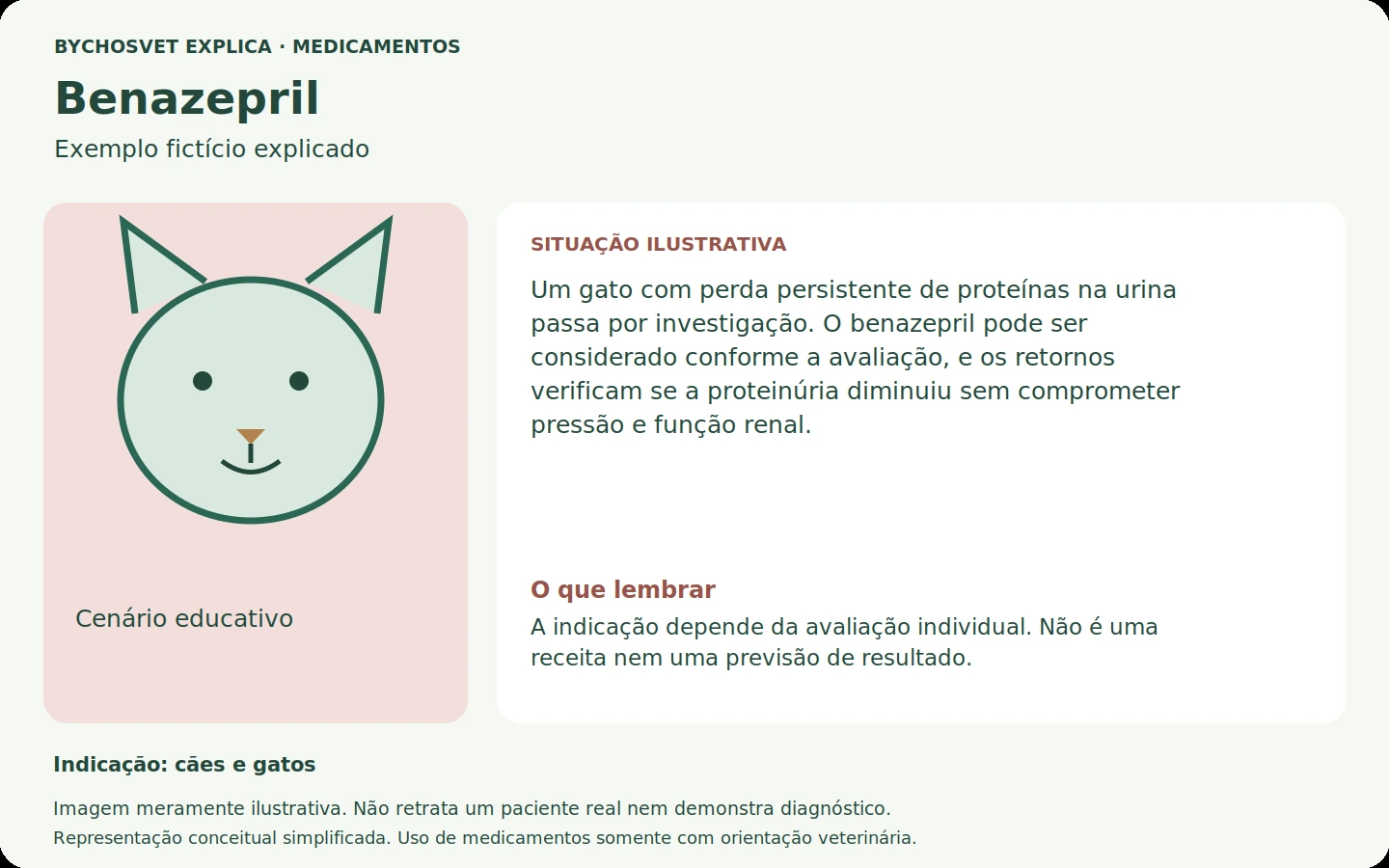 Exemplo fictício em português relacionado ao uso de benazepril.