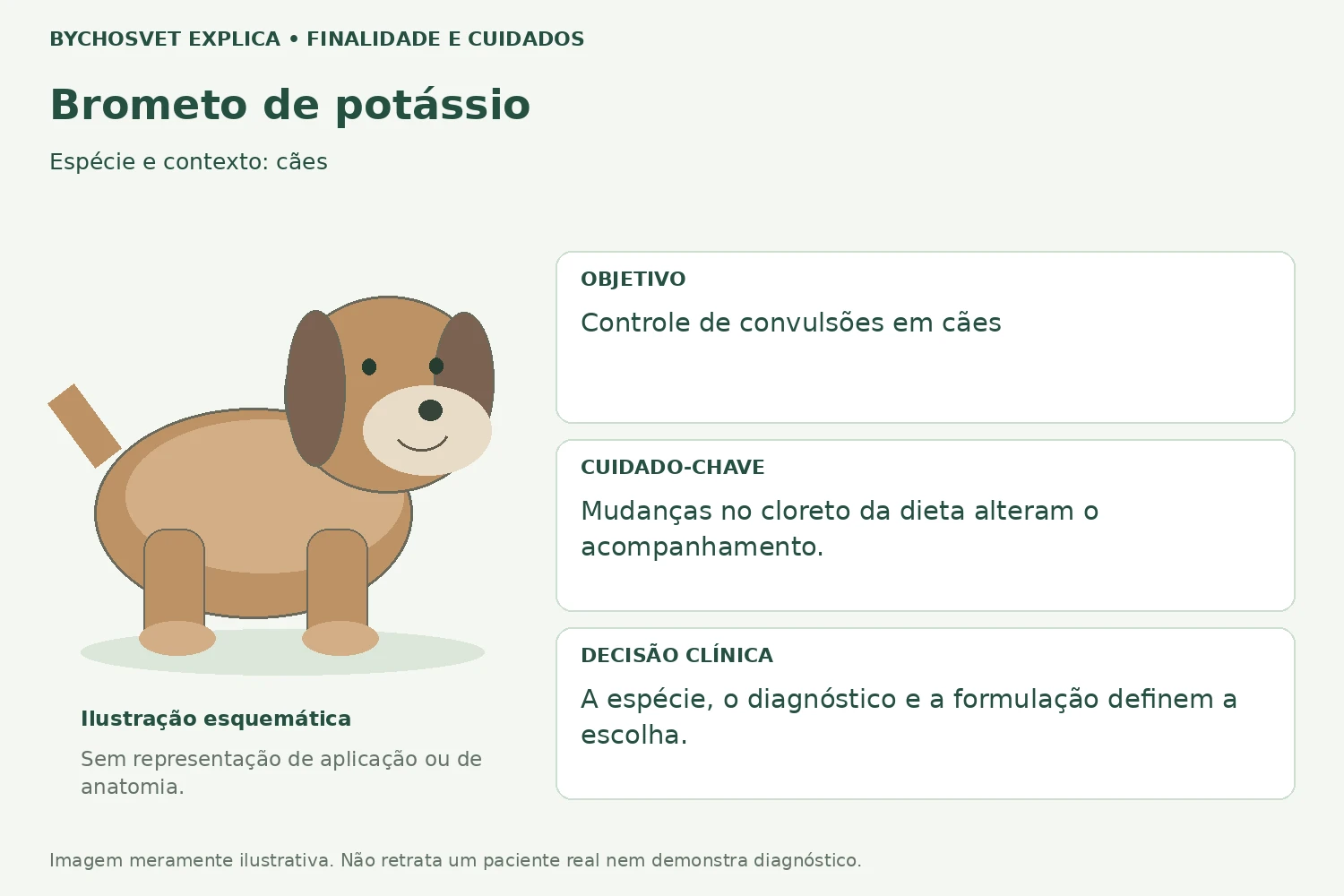 Finalidade e cuidados de Brometo de potássio