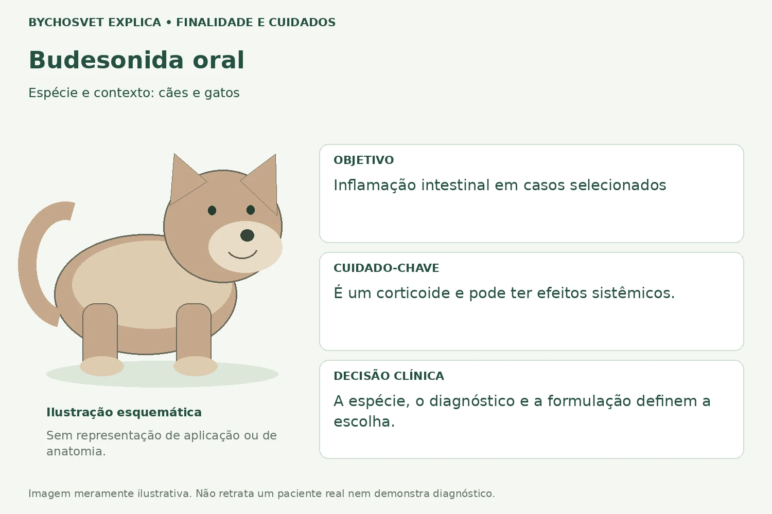 Finalidade e cuidados de Budesonida oral