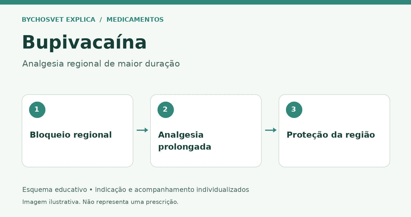 Bupivacaína: Bloqueio regional, Analgesia prolongada, Proteção da região