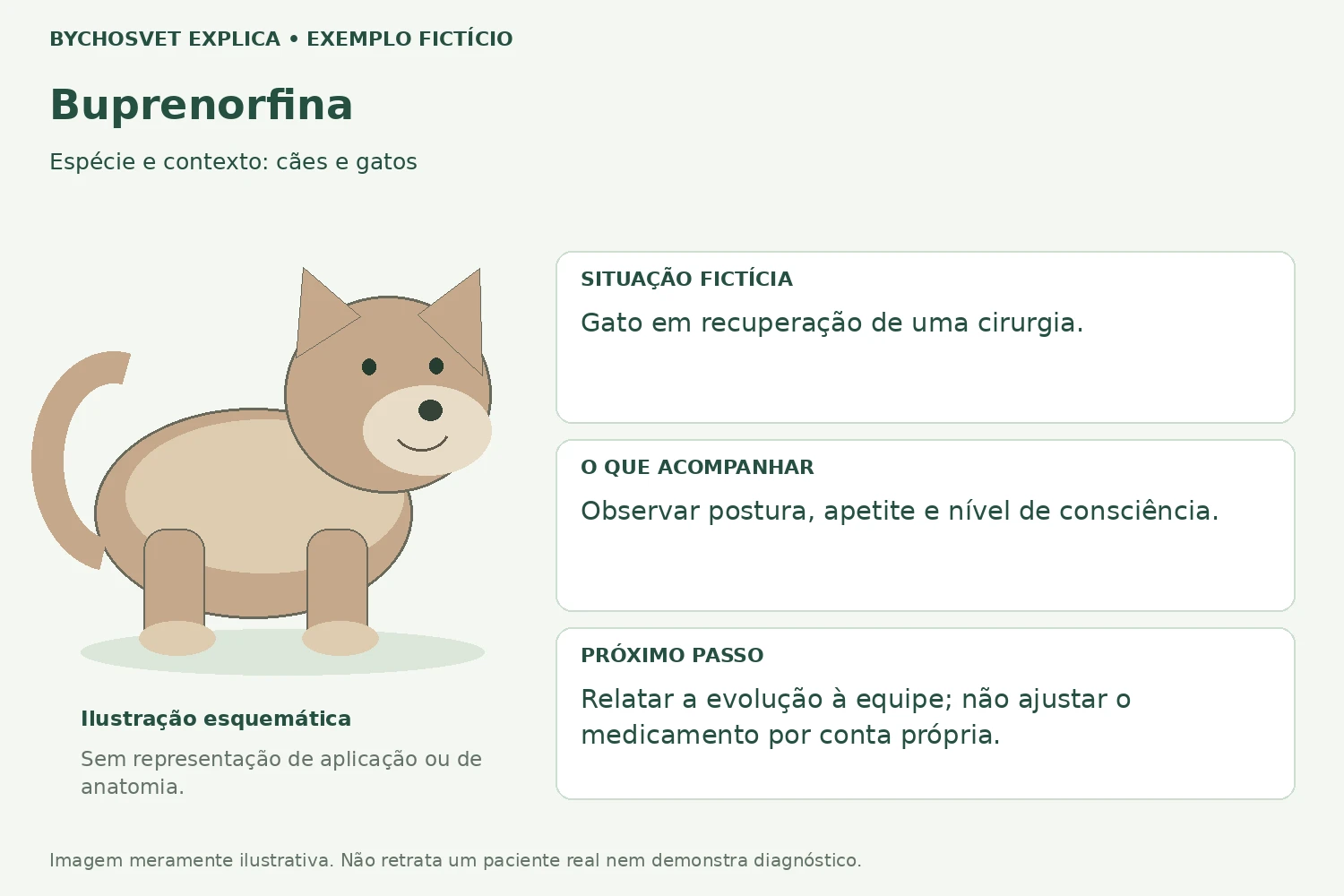 Exemplo fictício de acompanhamento com Buprenorfina