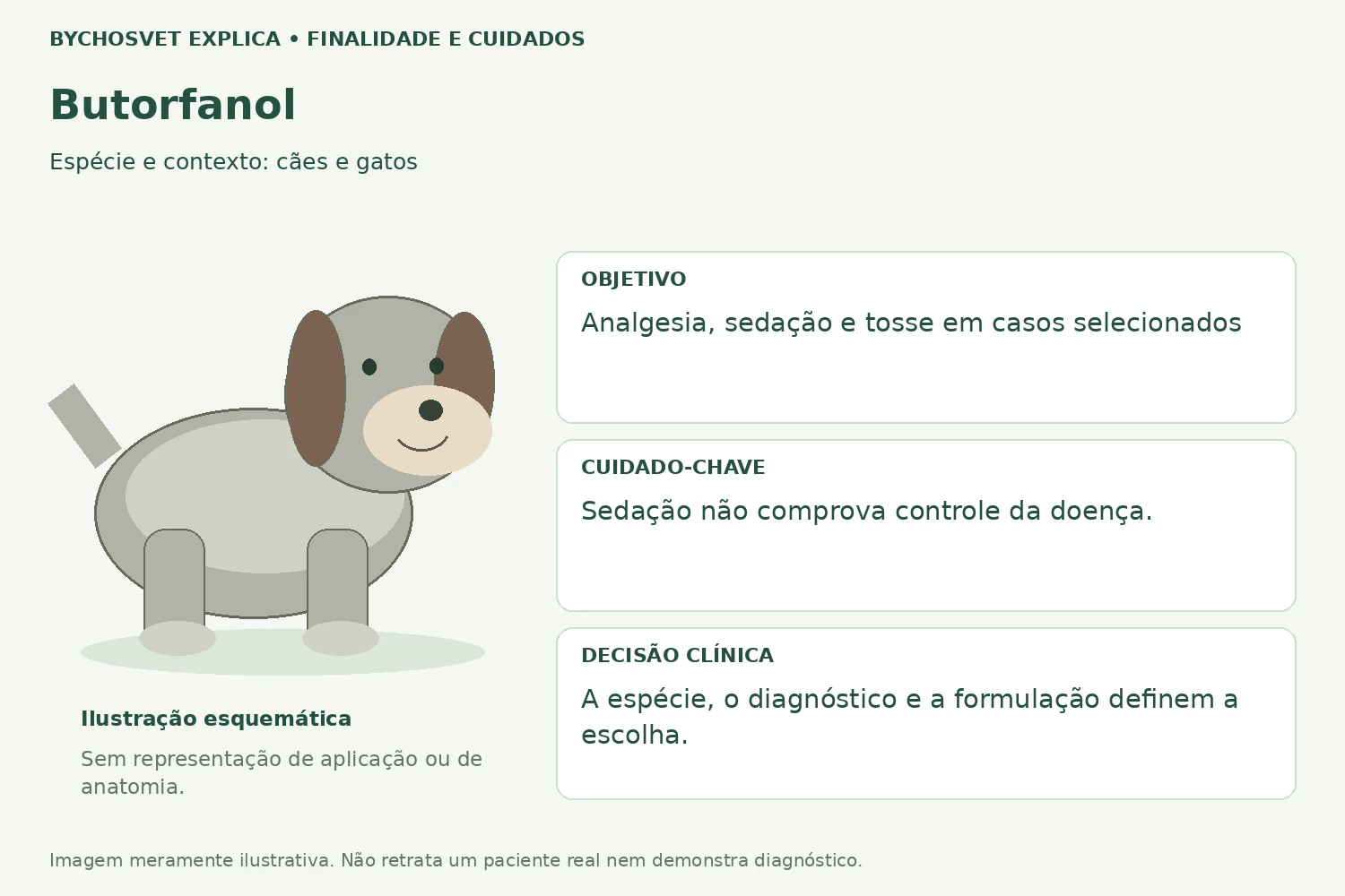 Finalidade e cuidados de Butorfanol