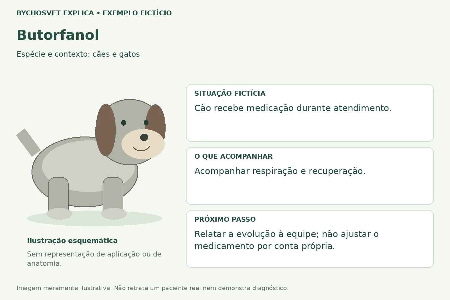 Exemplo fictício de acompanhamento com Butorfanol