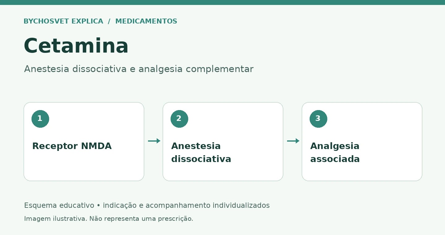 Cetamina: Receptor NMDA, Anestesia dissociativa, Analgesia associada
