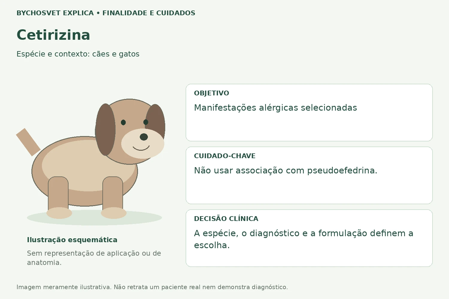Finalidade e cuidados de Cetirizina
