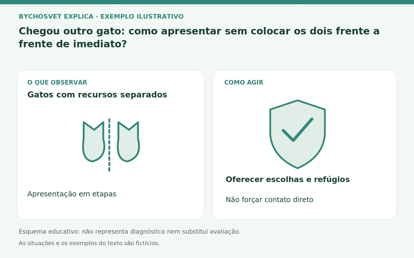 Gatos com recursos separados: Apresentação em etapas. Oferecer escolhas e refúgios; Não forçar contato direto