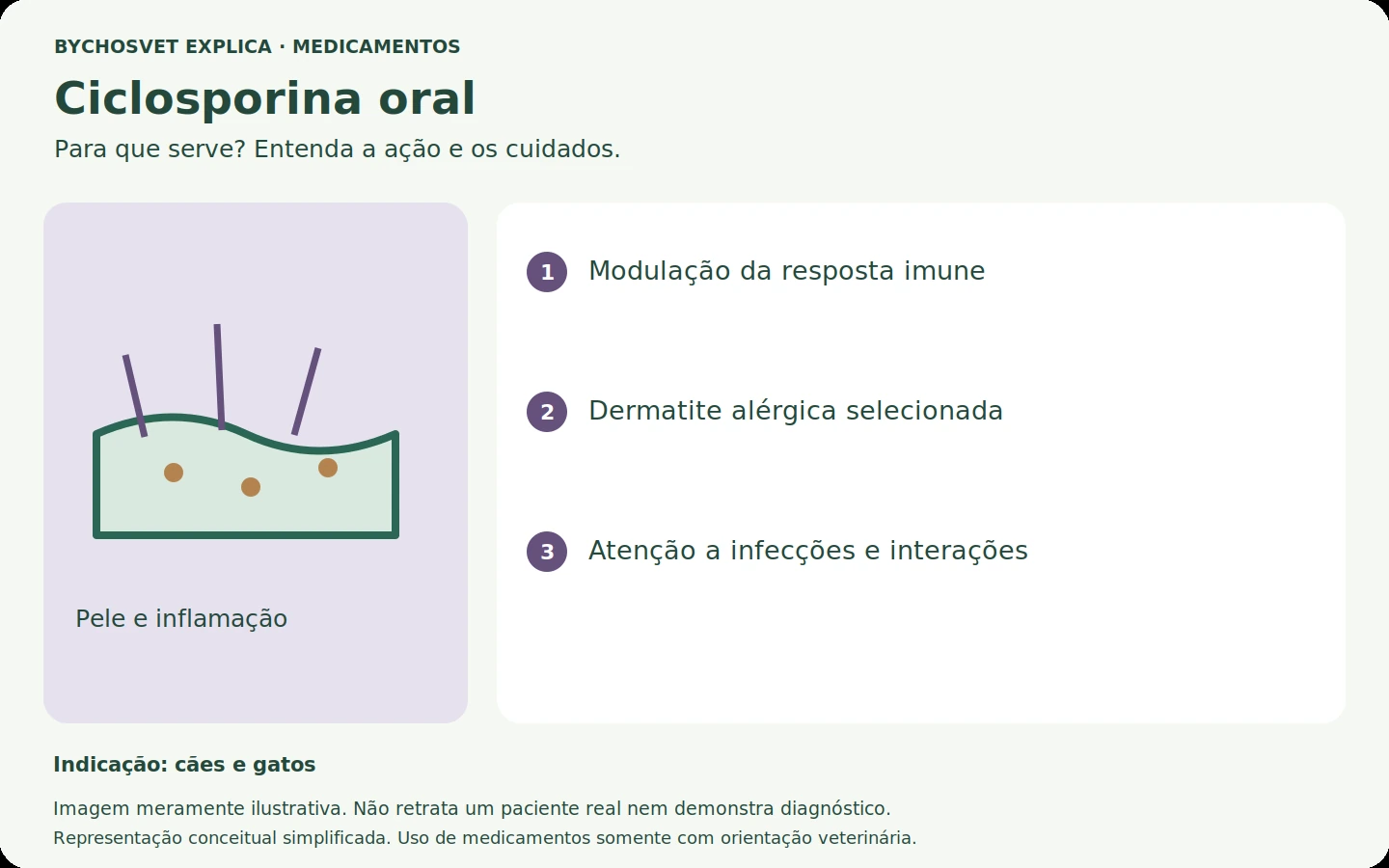 Ciclosporina oral: esquema em português sobre ação, indicações e cuidados.