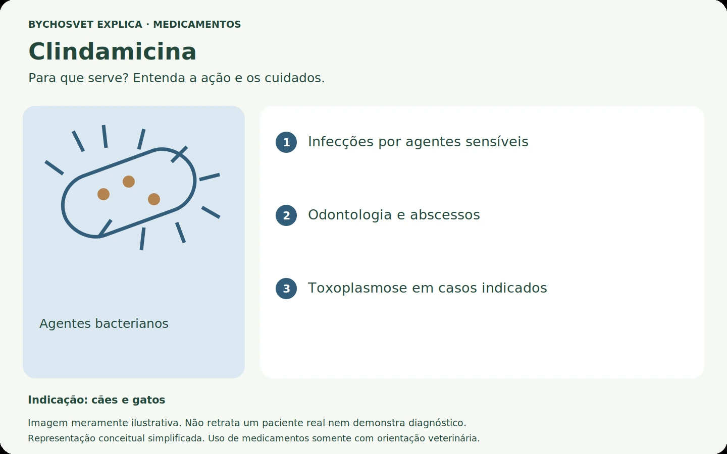Clindamicina: esquema em português sobre ação, indicações e cuidados.