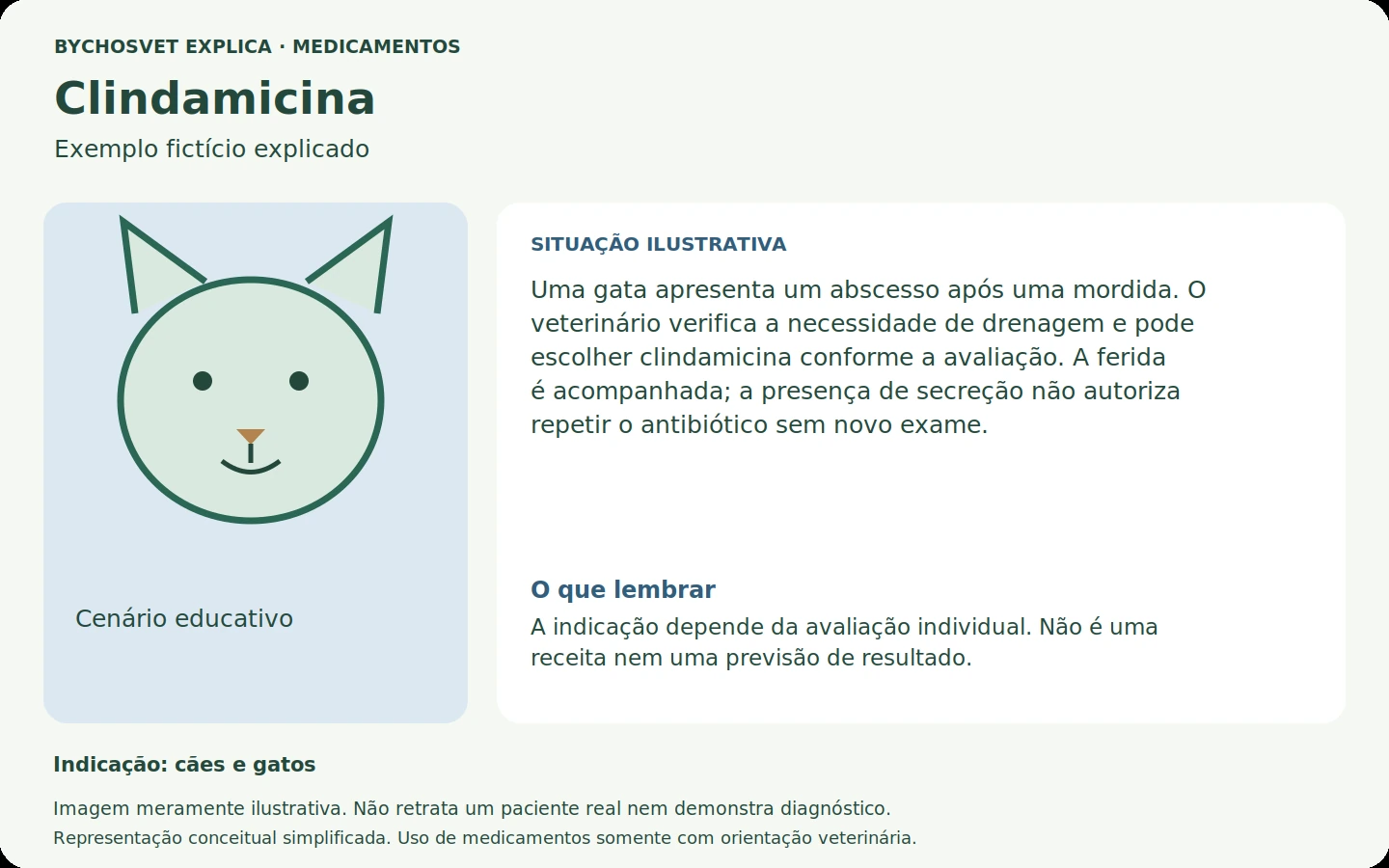 Exemplo fictício em português relacionado ao uso de clindamicina.