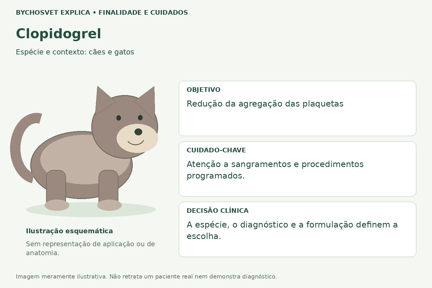 Finalidade e cuidados de Clopidogrel