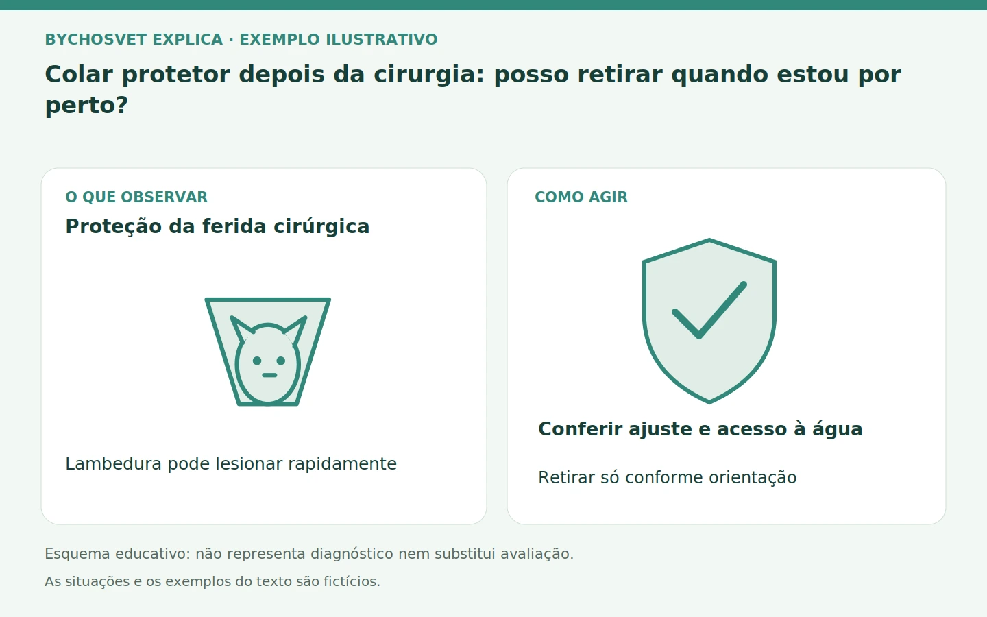Proteção da ferida cirúrgica: Lambedura pode lesionar rapidamente. Conferir ajuste e acesso à água; Retirar só conforme orientação