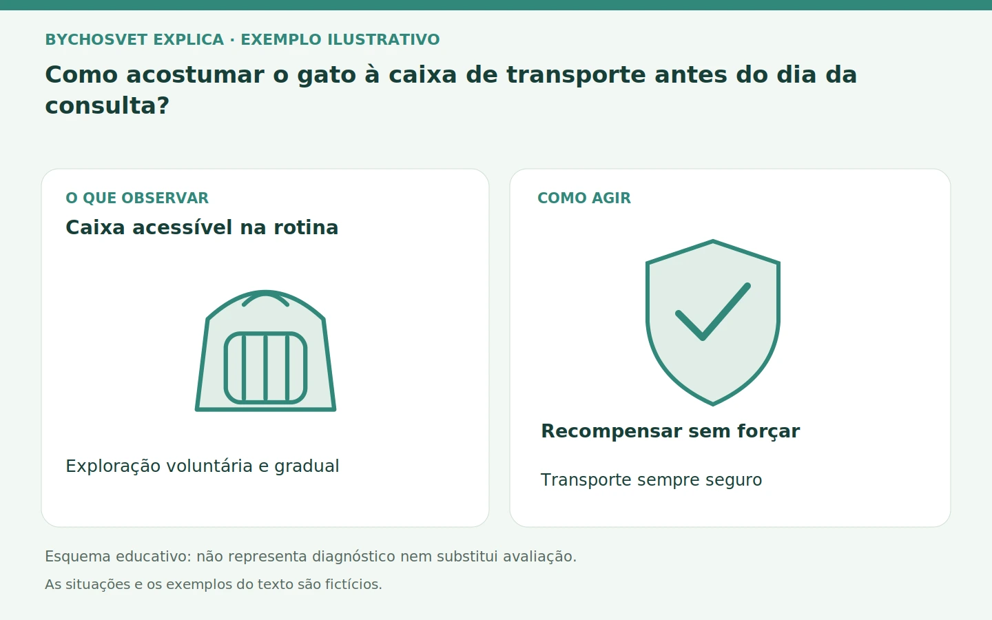 Caixa acessível na rotina: Exploração voluntária e gradual. Recompensar sem forçar; Transporte sempre seguro