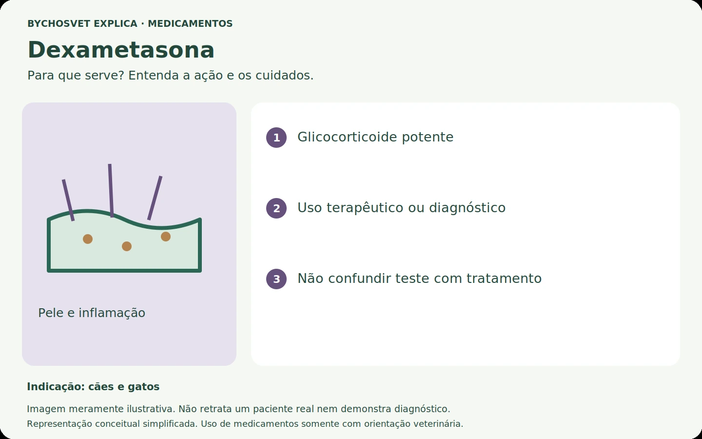 Dexametasona: esquema em português sobre ação, indicações e cuidados.