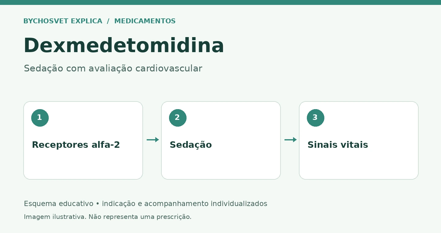 Dexmedetomidina: Receptores alfa-2, Sedação, Sinais vitais