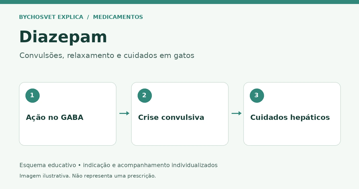 Diazepam: Ação no GABA, Crise convulsiva, Cuidados hepáticos