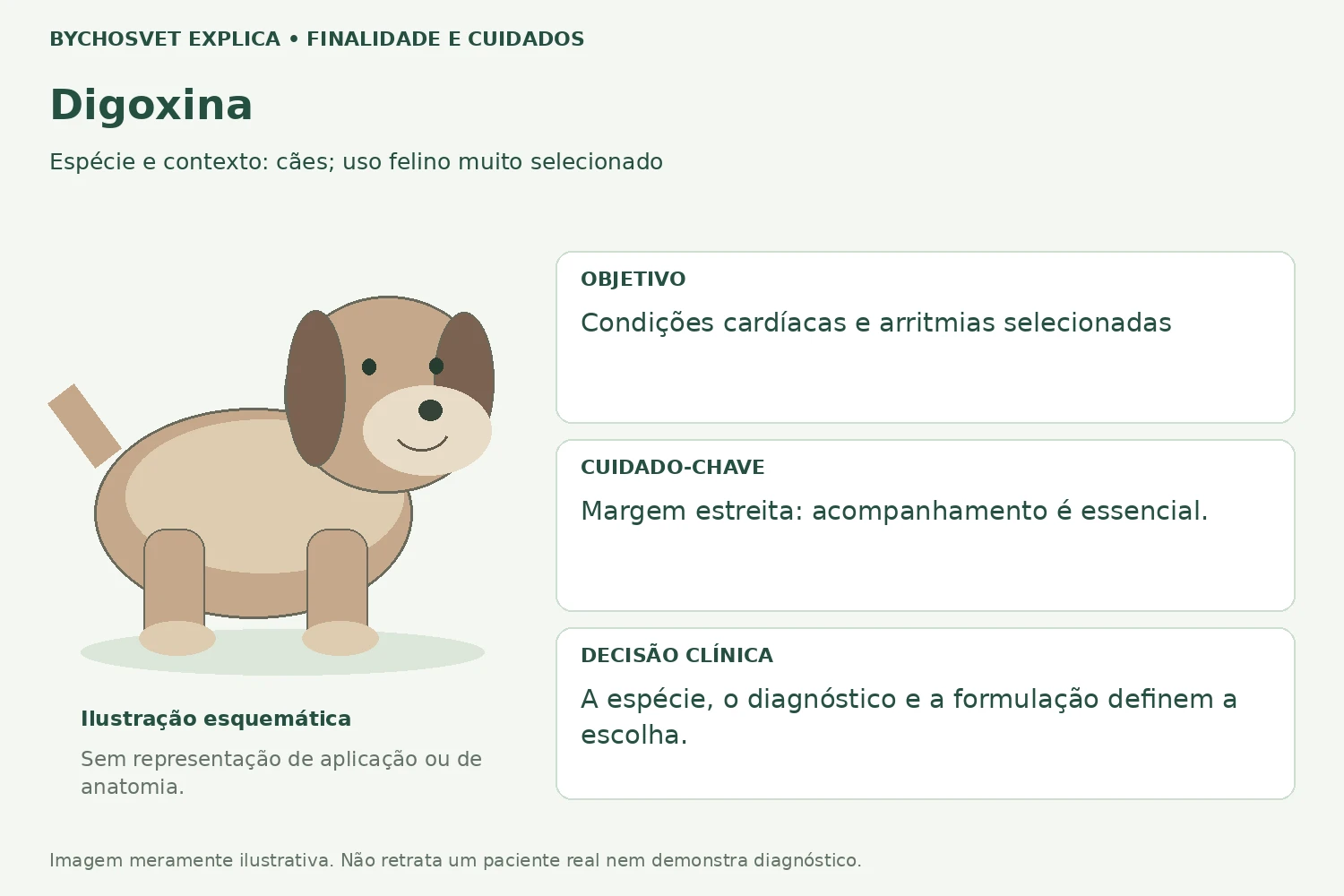 Finalidade e cuidados de Digoxina