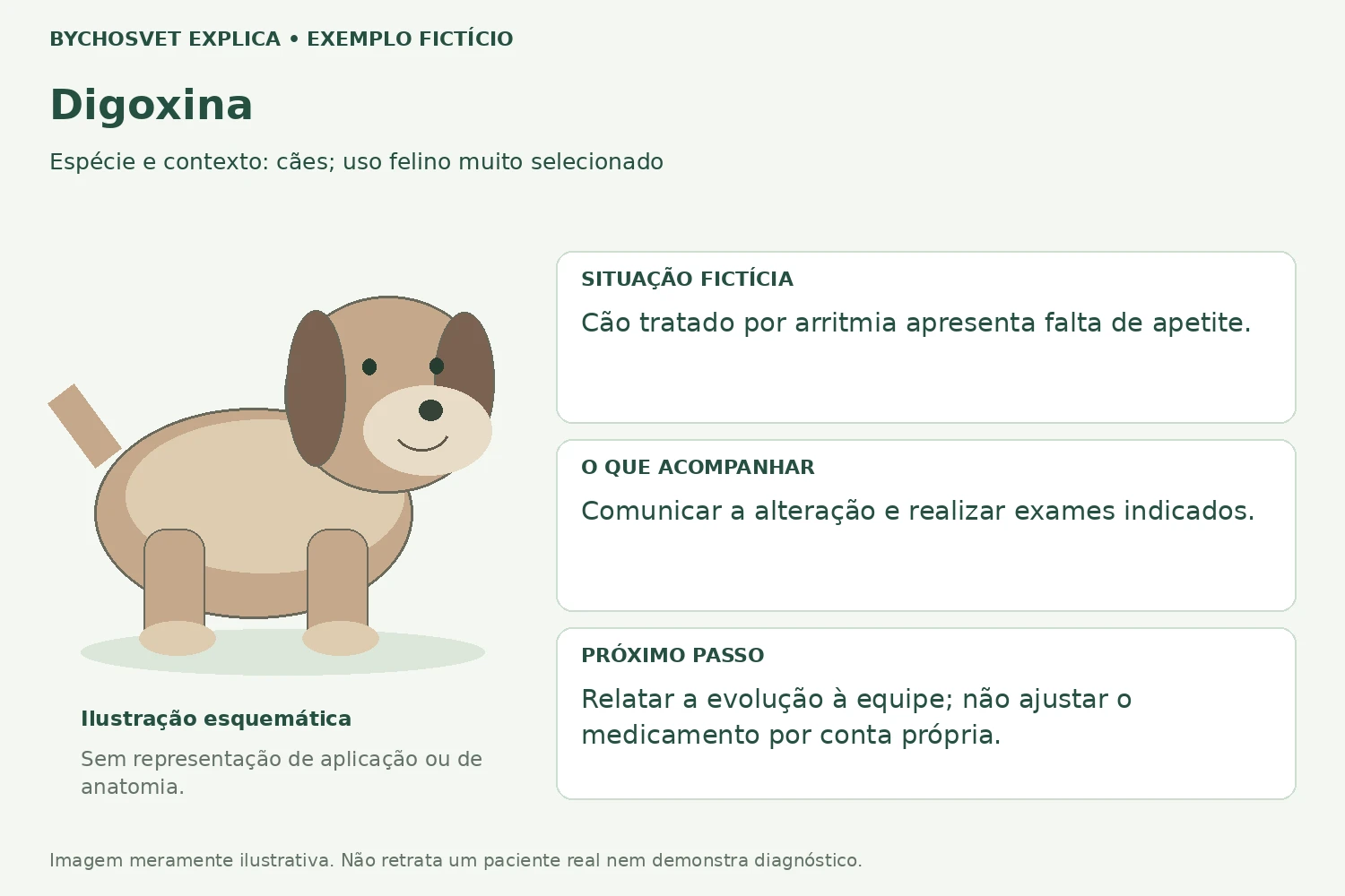 Exemplo fictício de acompanhamento com Digoxina