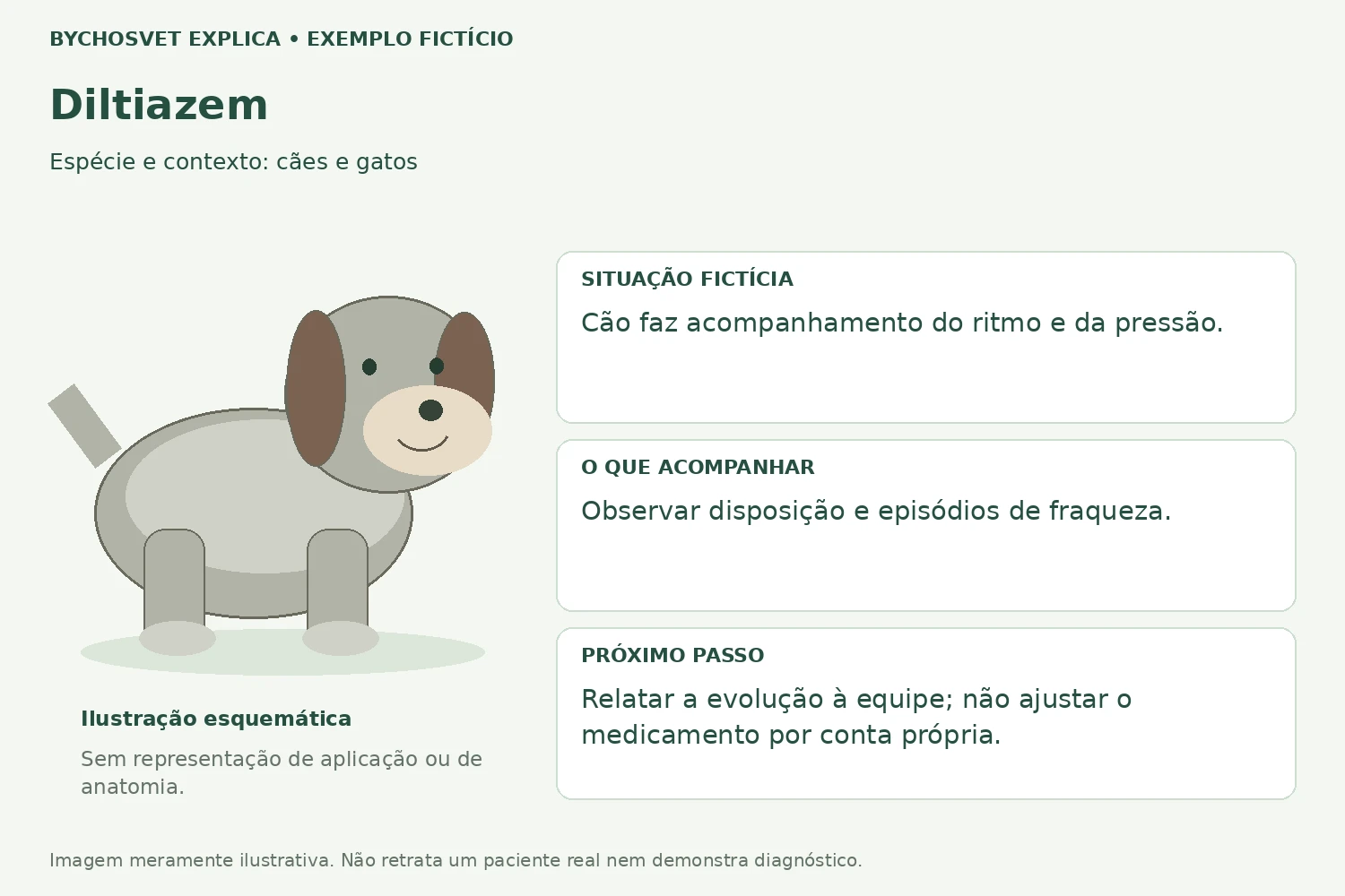 Exemplo fictício de acompanhamento com Diltiazem