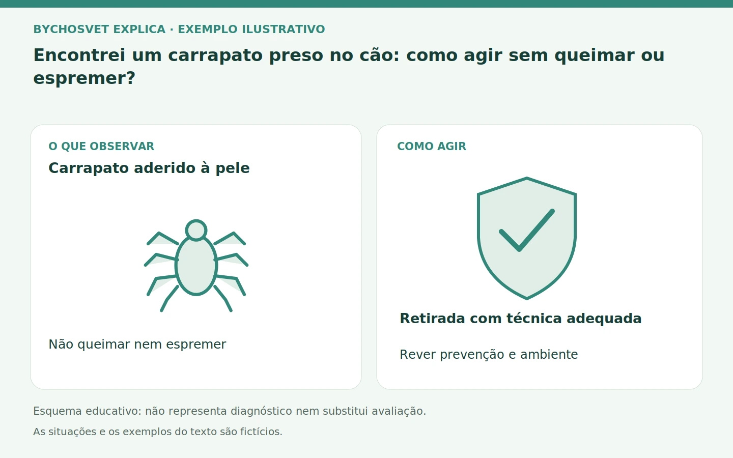Carrapato aderido à pele: Não queimar nem espremer. Retirada com técnica adequada; Rever prevenção e ambiente