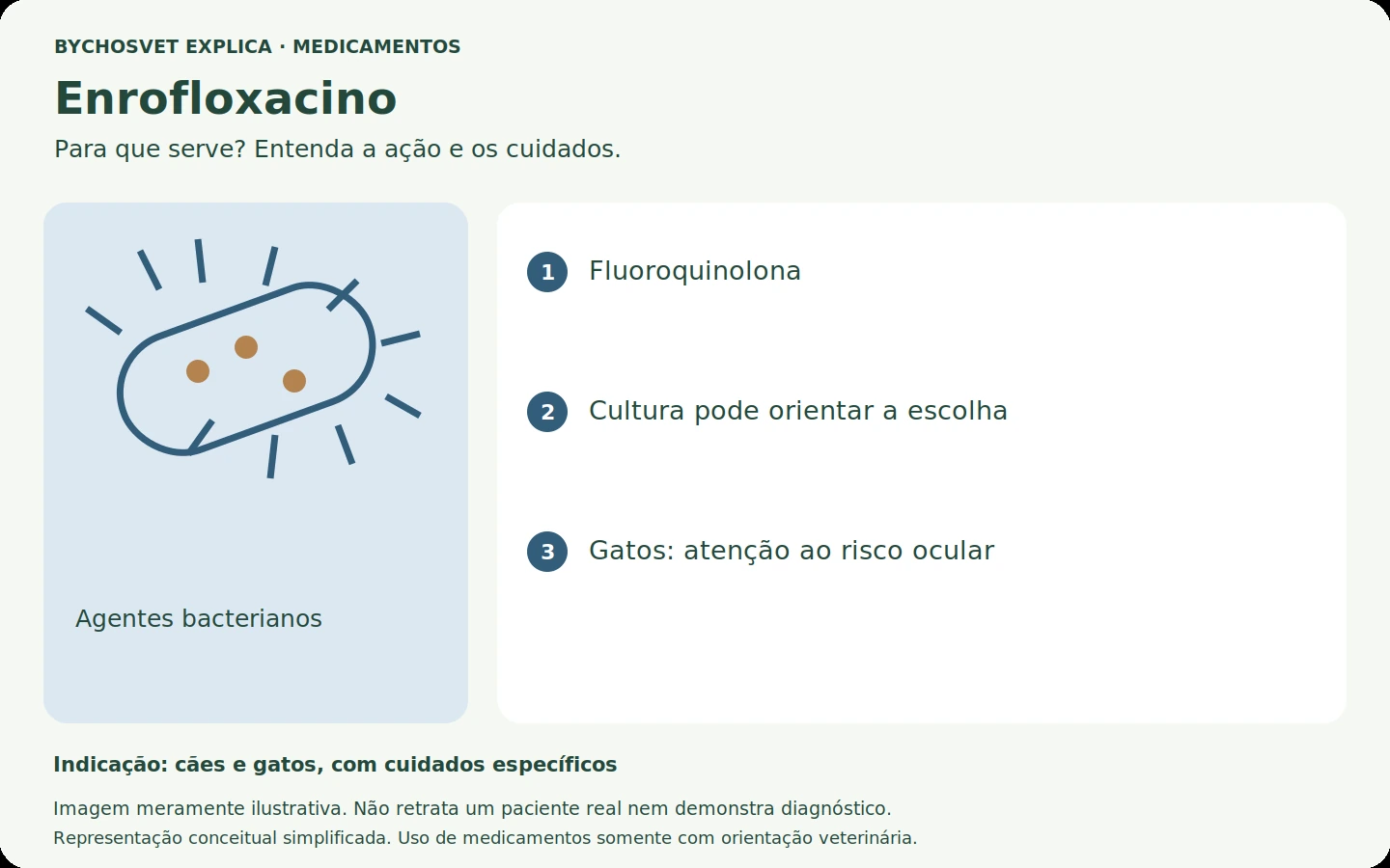 Enrofloxacino: esquema em português sobre ação, indicações e cuidados.