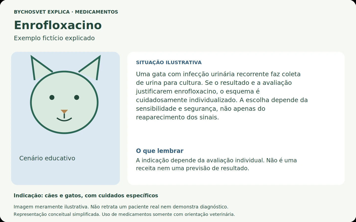 Exemplo fictício em português relacionado ao uso de enrofloxacino.