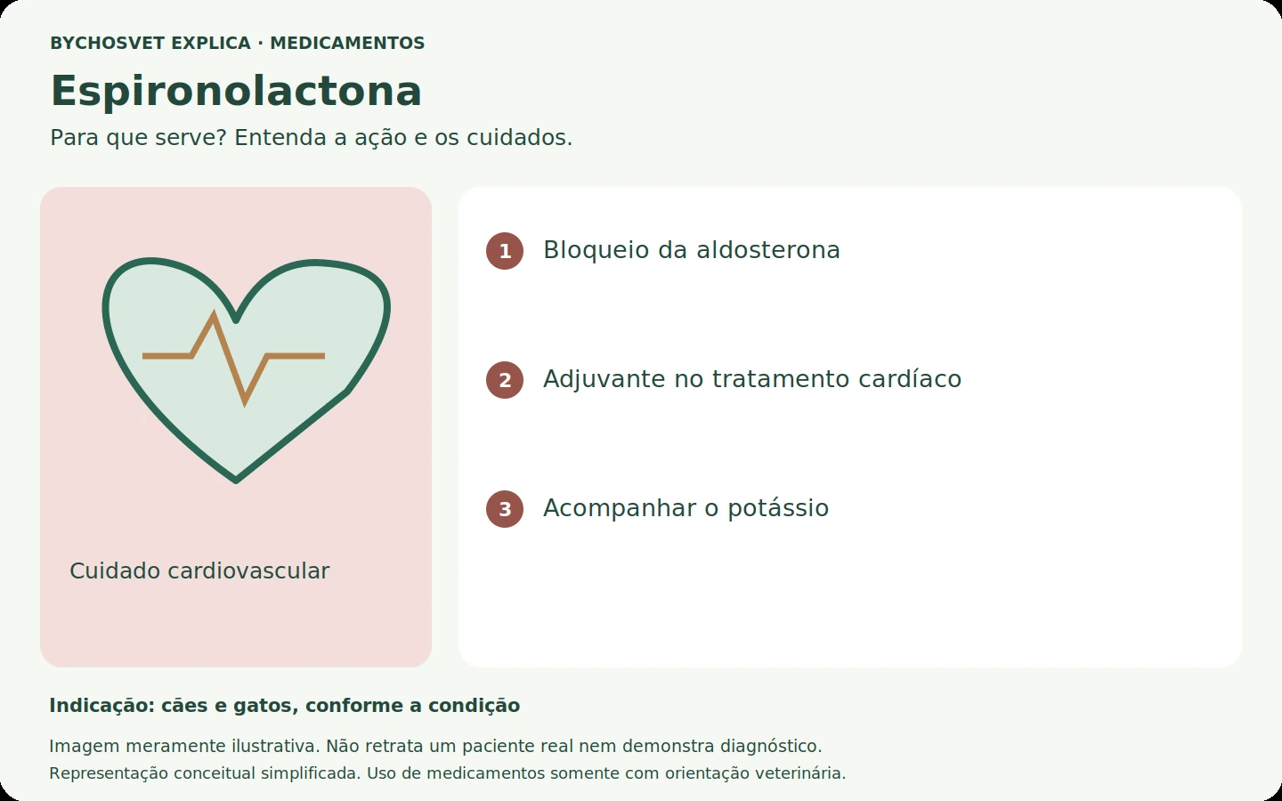 Espironolactona: esquema em português sobre ação, indicações e cuidados.