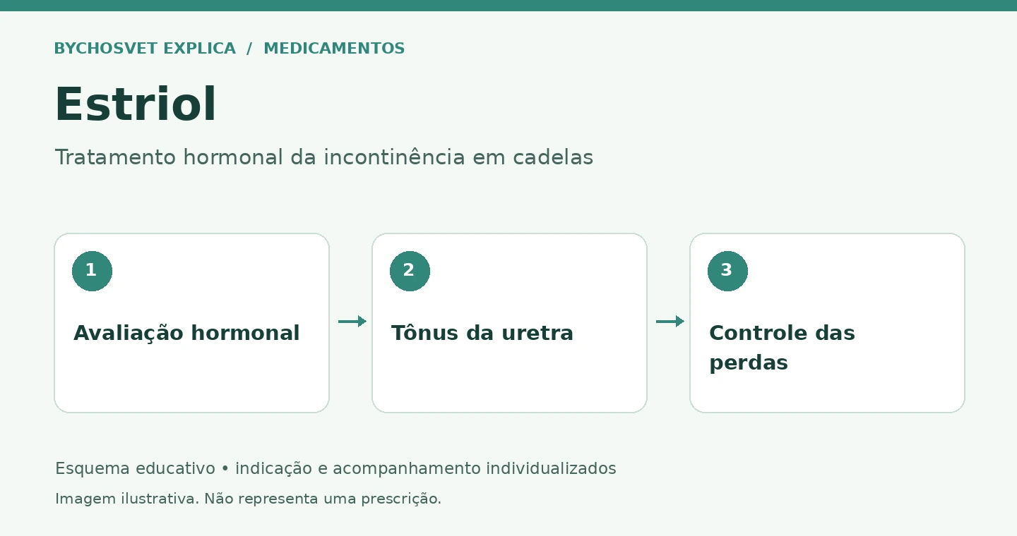 Estriol: Avaliação hormonal, Tônus da uretra, Controle das perdas