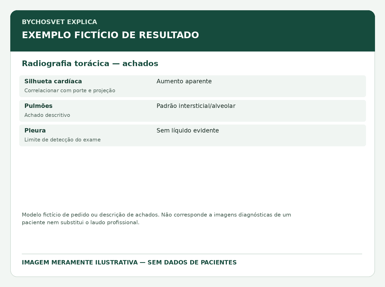 Radiografia torácica — achados — modelo fictício de resultado para fins educativos