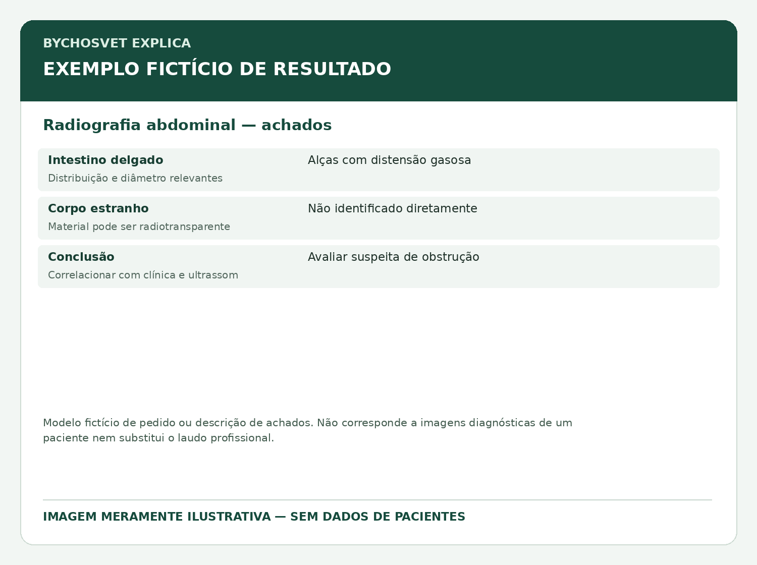 Radiografia abdominal — achados — modelo fictício de resultado para fins educativos
