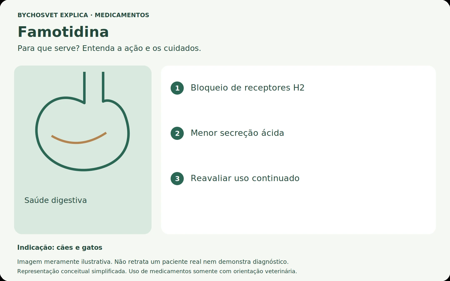 Famotidina: esquema em português sobre ação, indicações e cuidados.
