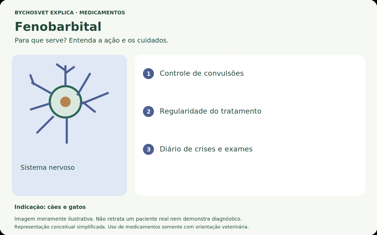 Fenobarbital: esquema em português sobre ação, indicações e cuidados.