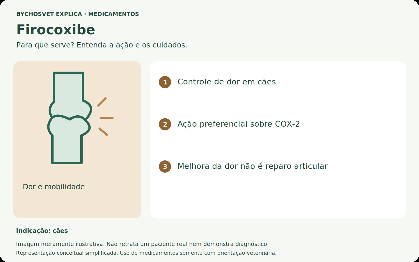 Firocoxibe: esquema em português sobre ação, indicações e cuidados.