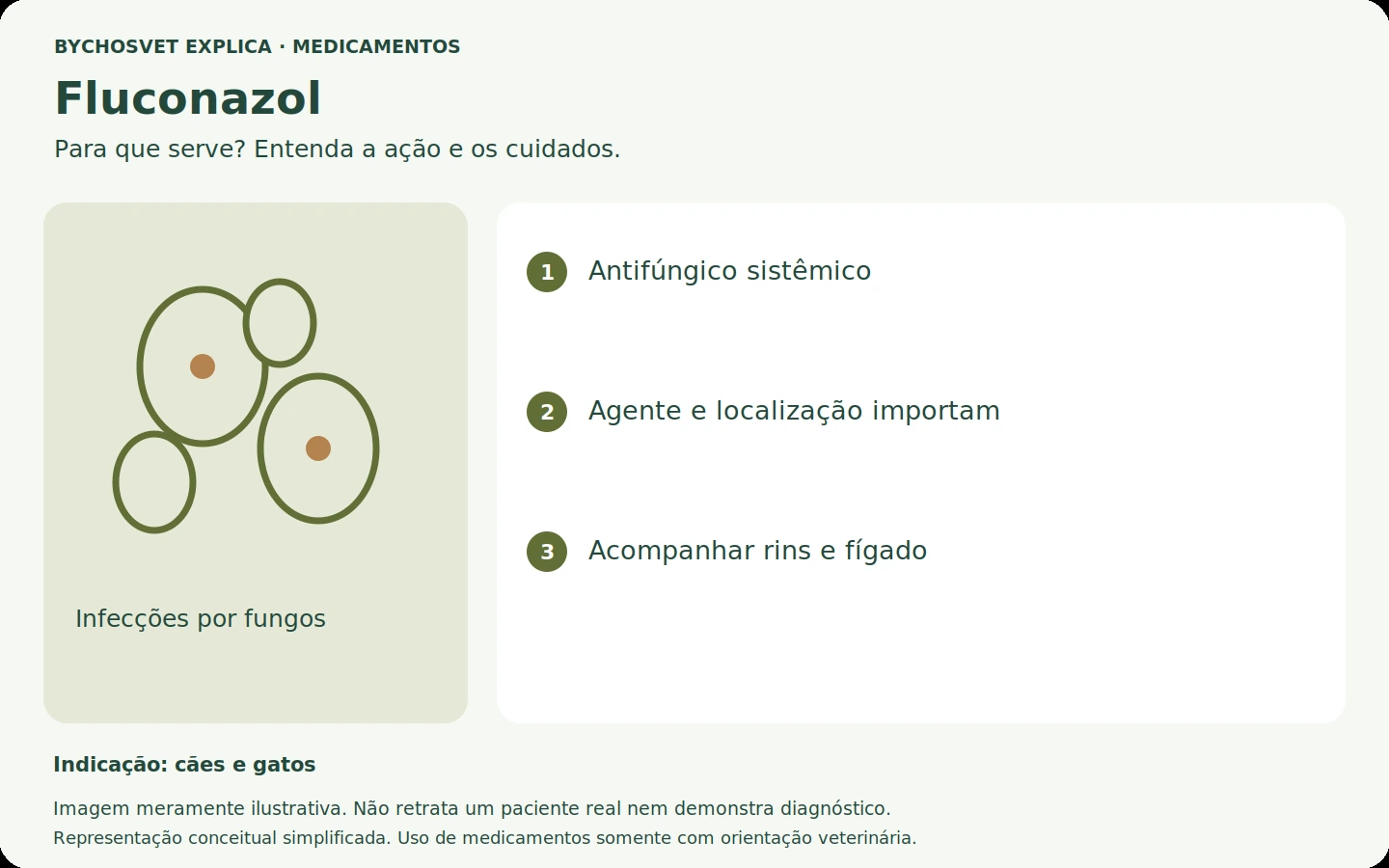 Fluconazol: esquema em português sobre ação, indicações e cuidados.