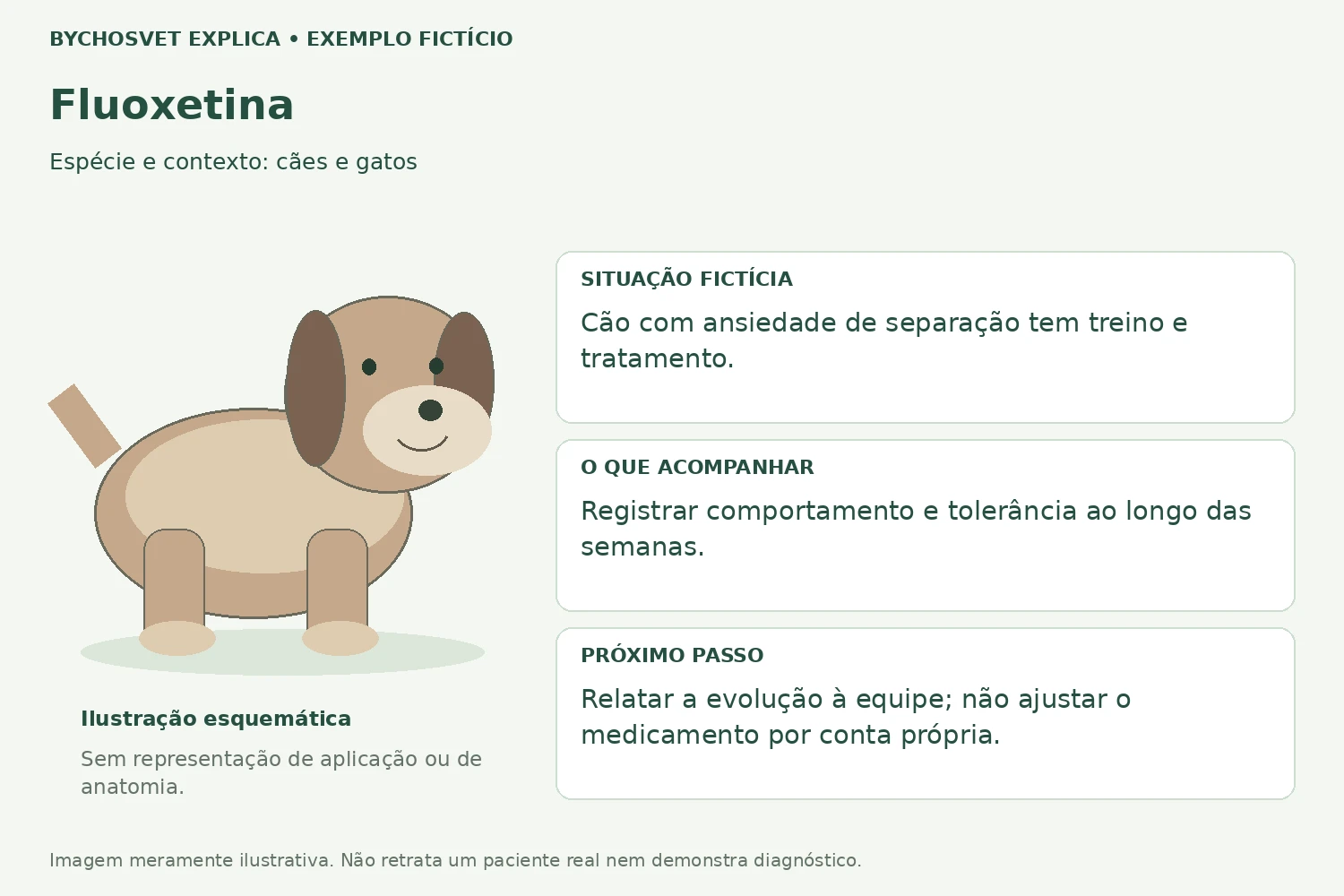 Exemplo fictício de acompanhamento com Fluoxetina