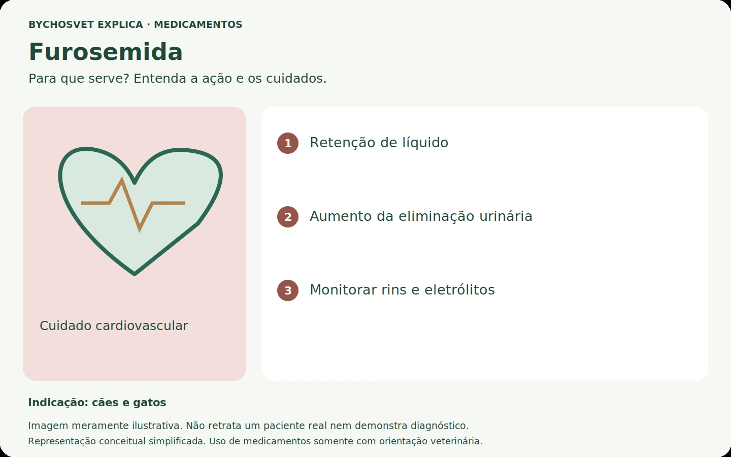 Furosemida: esquema em português sobre ação, indicações e cuidados.