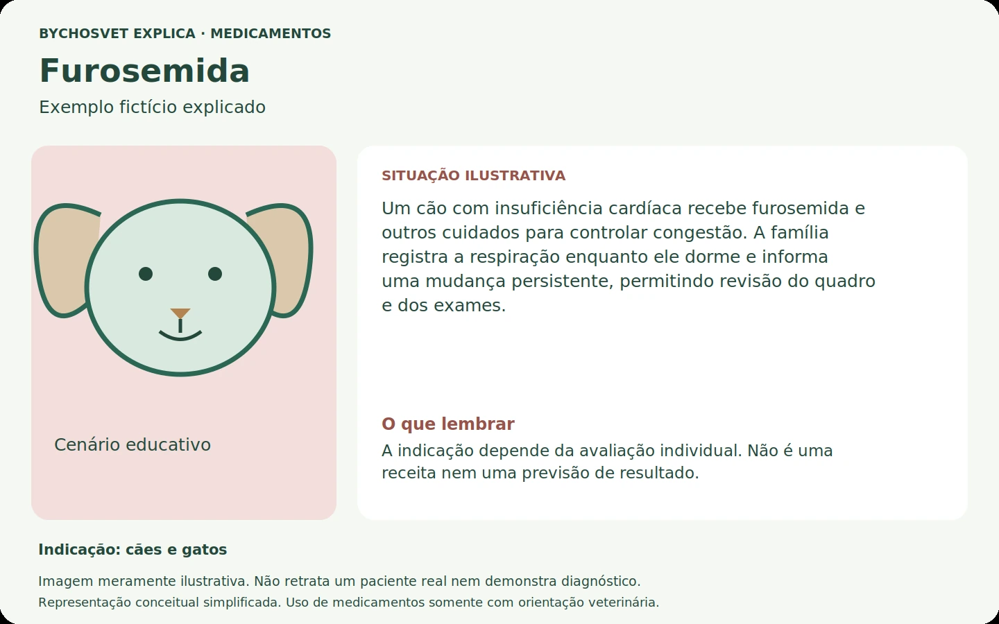 Exemplo fictício em português relacionado ao uso de furosemida.