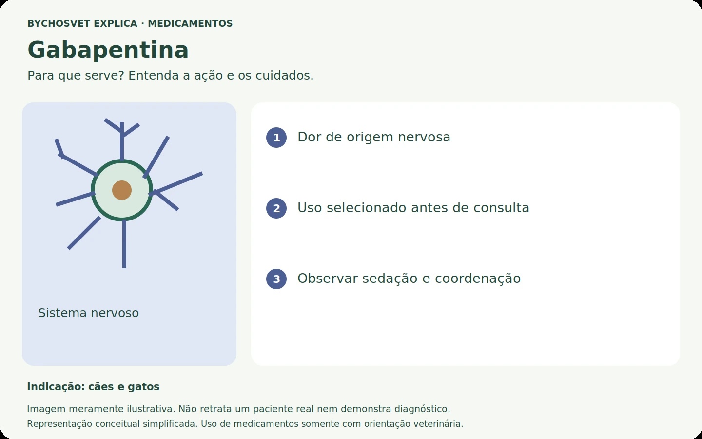 Gabapentina: esquema em português sobre ação, indicações e cuidados.