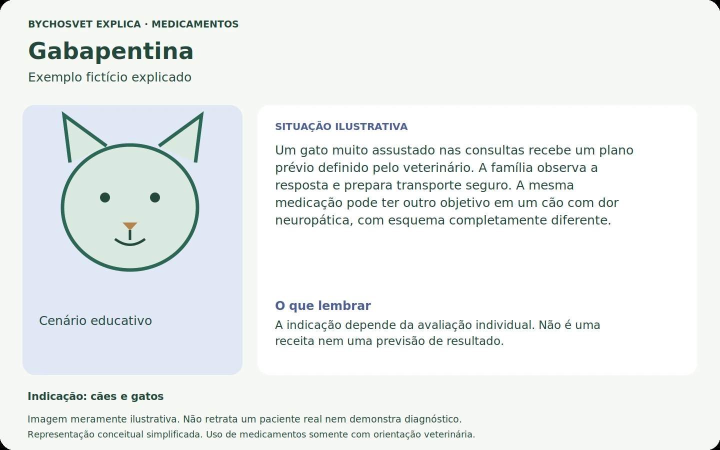Exemplo fictício em português relacionado ao uso de gabapentina.