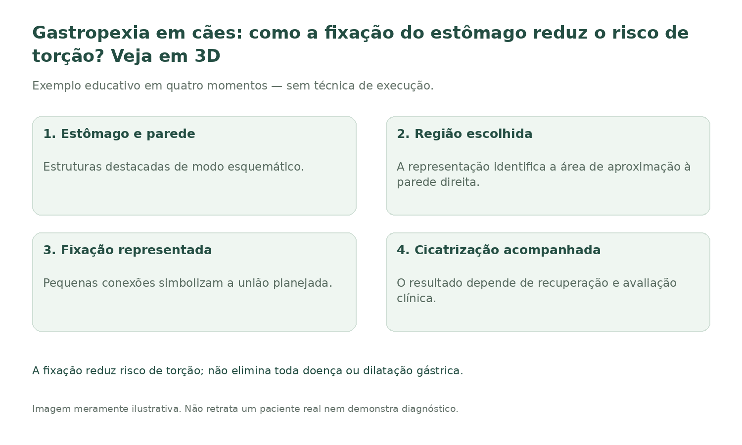 Resumo ilustrado: Gastropexia em cães: como a fixação do estômago reduz o risco de torção? Veja em 3D